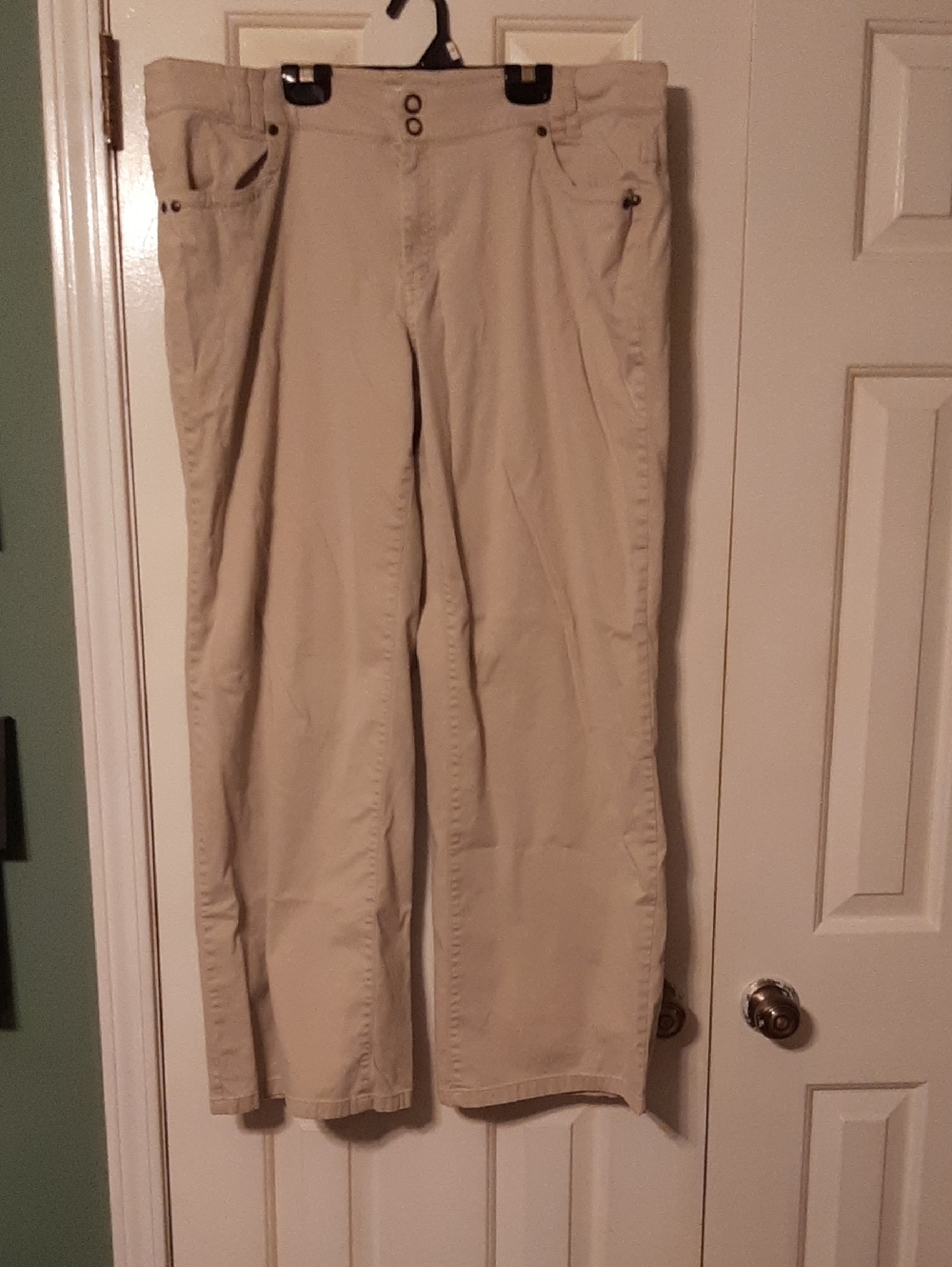 Casual Chino Pants in Beige